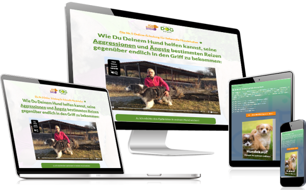 Wecke den Optimist im Hund