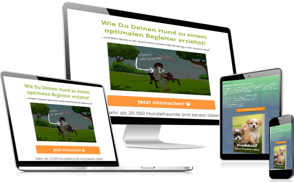 Online Hundetraining